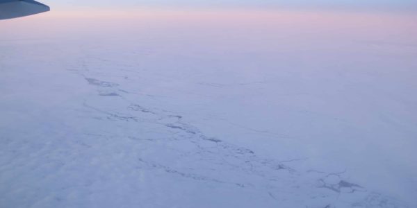 Arctic Sea